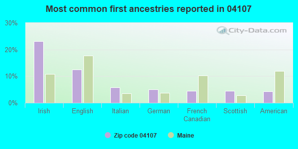 Most common first ancestries reported in 04107