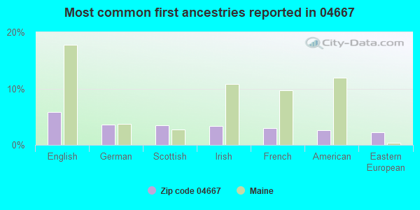 Most common first ancestries reported in 04667