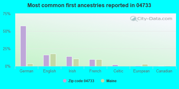Most common first ancestries reported in 04733