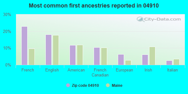 Most common first ancestries reported in 04910