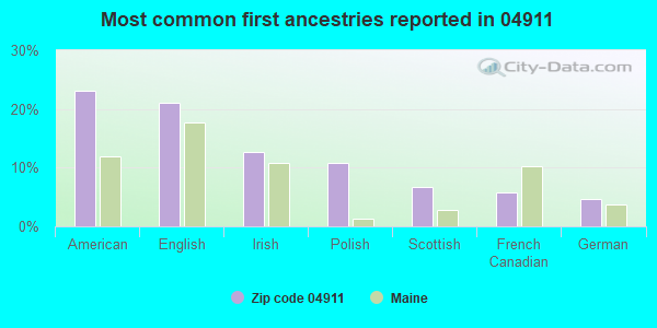 Most common first ancestries reported in 04911