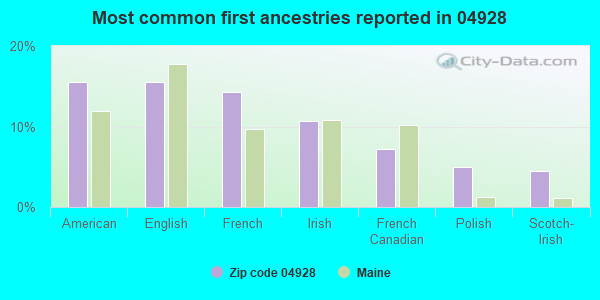 Most common first ancestries reported in 04928
