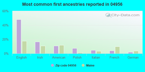 Most common first ancestries reported in 04956