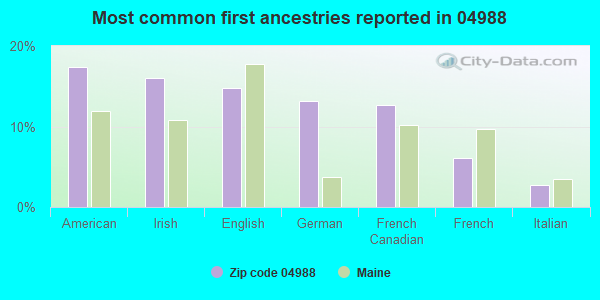 Most common first ancestries reported in 04988