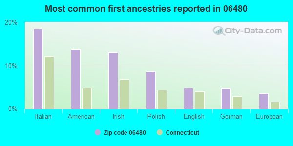 Most common first ancestries reported in 06480