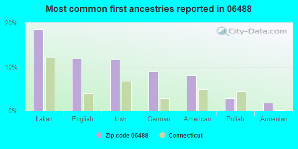 Most common first ancestries reported in 06488