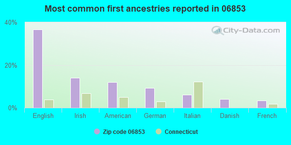 Most common first ancestries reported in 06853