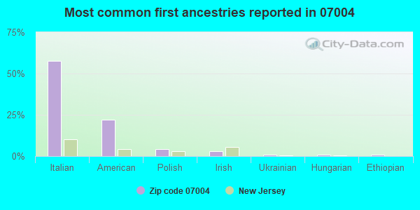Most common first ancestries reported in 07004