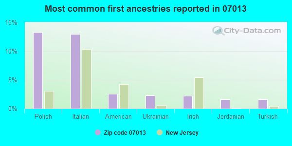 Most common first ancestries reported in 07013
