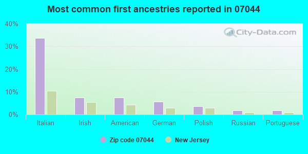 Most common first ancestries reported in 07044