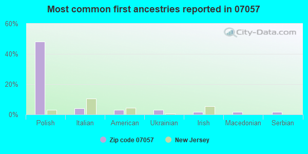 Most common first ancestries reported in 07057