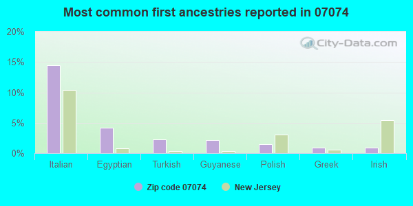Most common first ancestries reported in 07074