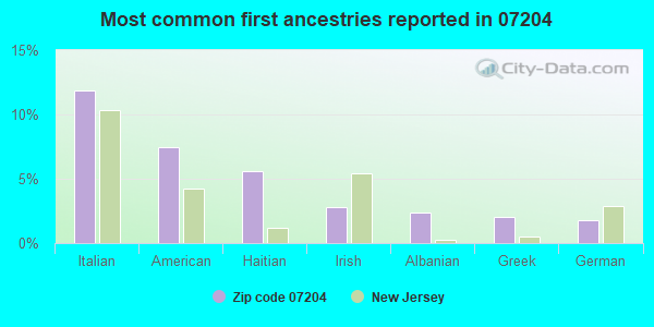 Most common first ancestries reported in 07204