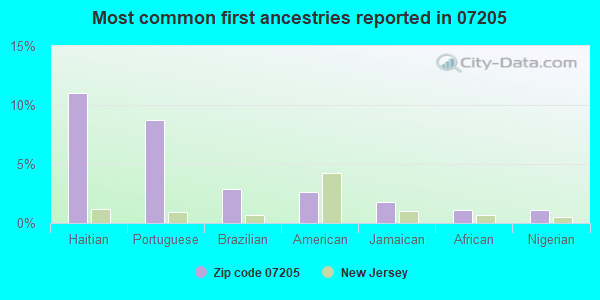 Most common first ancestries reported in 07205