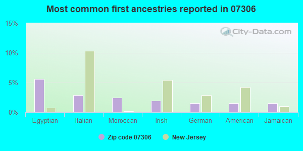 Most common first ancestries reported in 07306