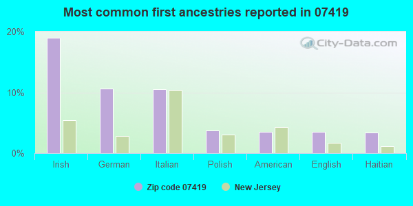 Most common first ancestries reported in 07419