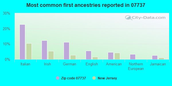 Most common first ancestries reported in 07737