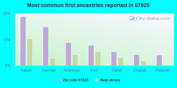 Most common first ancestries reported in 07825