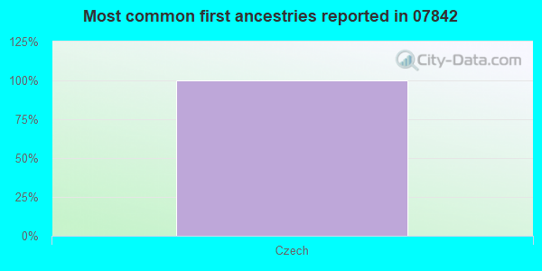 Most common first ancestries reported in 07842