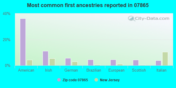 Most common first ancestries reported in 07865