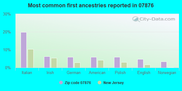 Most common first ancestries reported in 07876