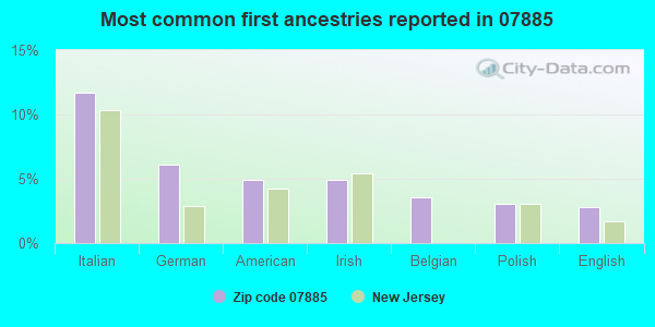 Most common first ancestries reported in 07885