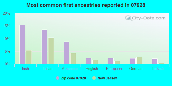 Most common first ancestries reported in 07928