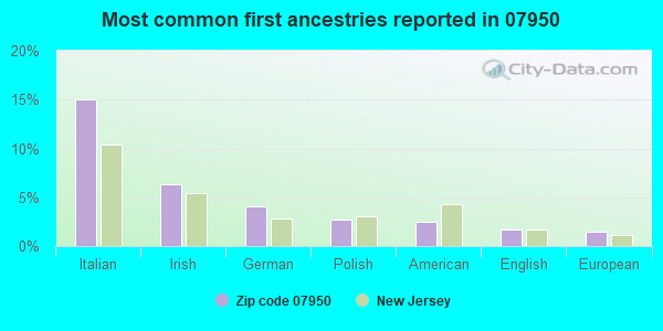 Most common first ancestries reported in 07950