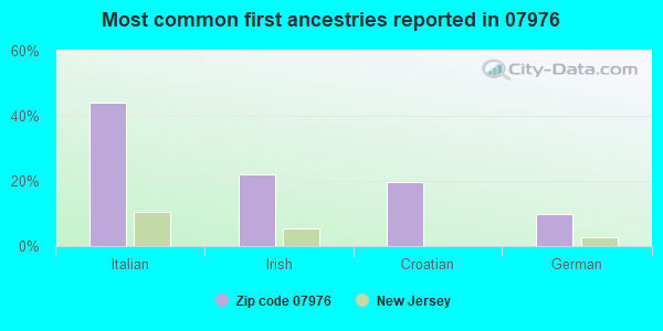 Most common first ancestries reported in 07976