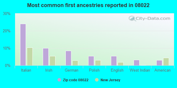 Most common first ancestries reported in 08022
