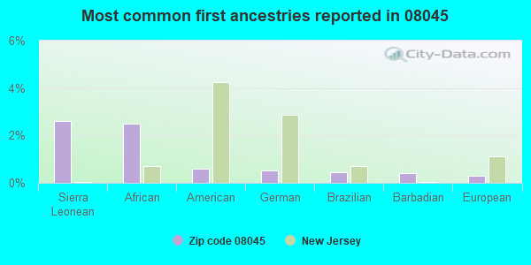 Most common first ancestries reported in 08045
