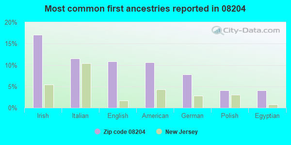 Most common first ancestries reported in 08204