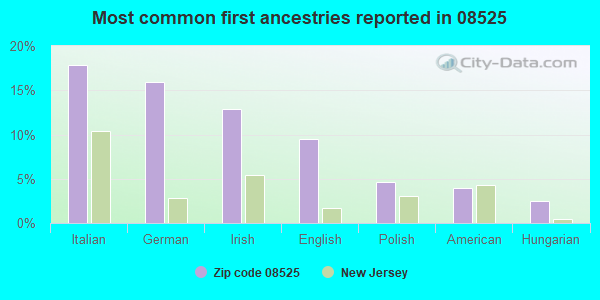 Most common first ancestries reported in 08525
