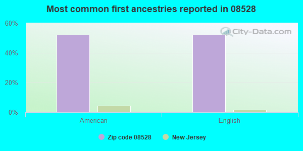 Most common first ancestries reported in 08528