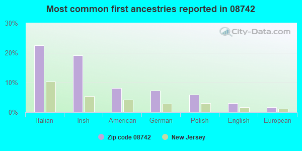 Most common first ancestries reported in 08742