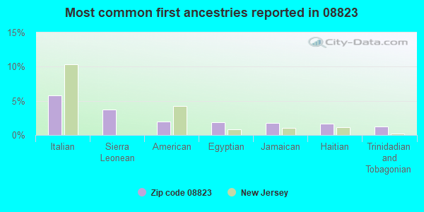 Most common first ancestries reported in 08823