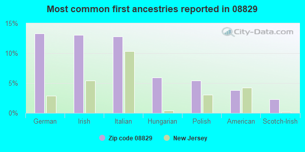 Most common first ancestries reported in 08829