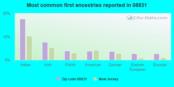Most common first ancestries reported in 08831