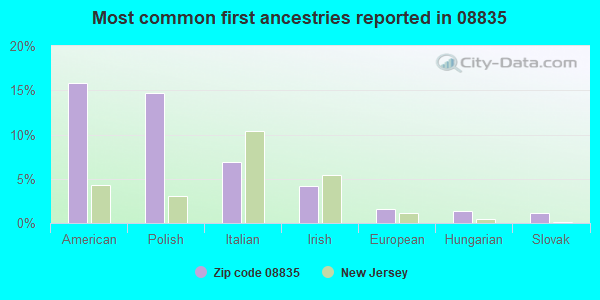 Most common first ancestries reported in 08835