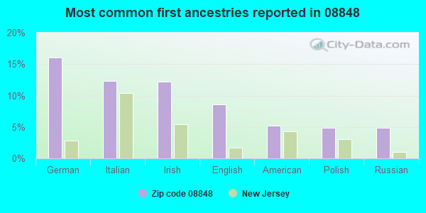 Most common first ancestries reported in 08848