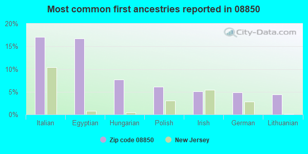 Most common first ancestries reported in 08850
