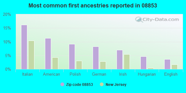 Most common first ancestries reported in 08853