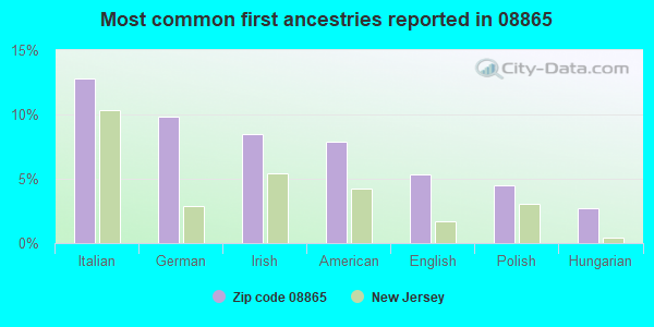 Most common first ancestries reported in 08865