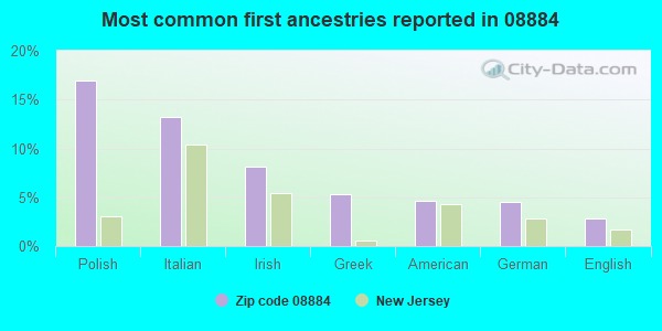 Most common first ancestries reported in 08884