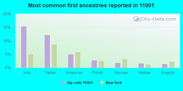 Most common first ancestries reported in 11001