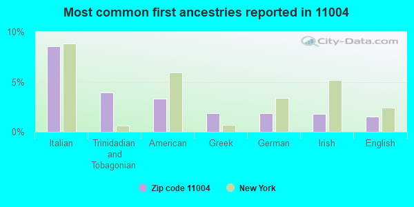 Most common first ancestries reported in 11004