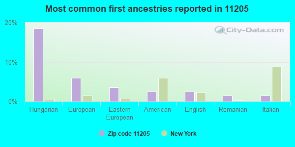 Most common first ancestries reported in 11205