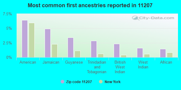 Most common first ancestries reported in 11207