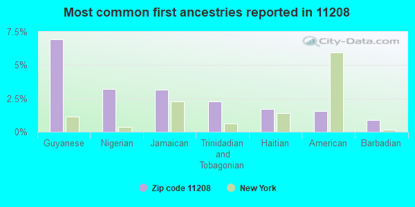 Most common first ancestries reported in 11208
