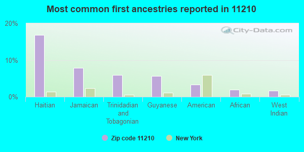 Most common first ancestries reported in 11210